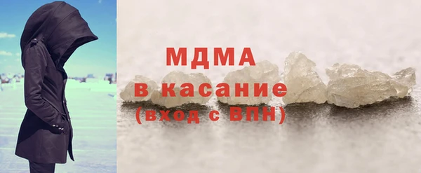 индика Елизово