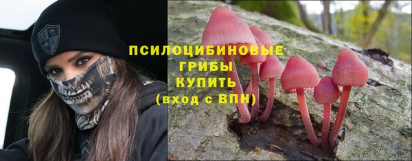 Альфа ПВП Армянск